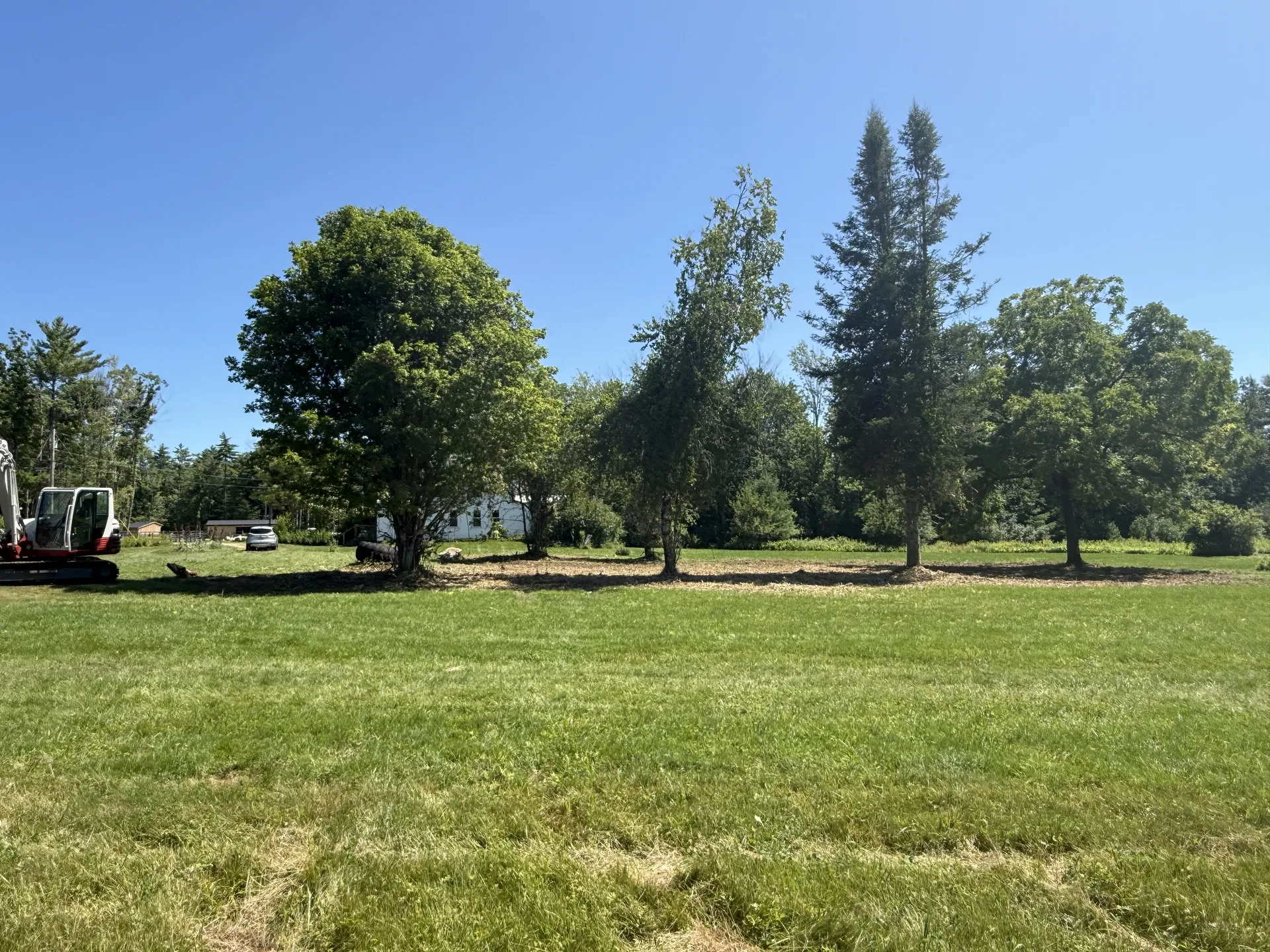 Mowed open field with mature trees left standing after land clearing in NH
